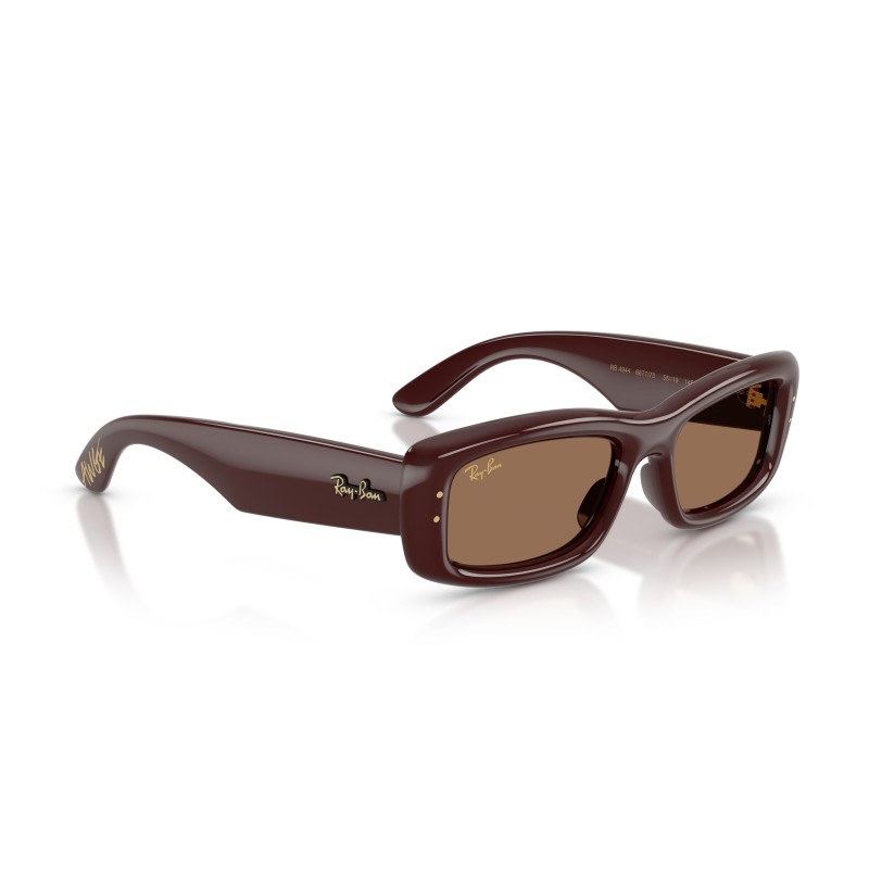 Ray-Ban RB4944 687773 : Lunettes de soleil élégantes et intemporelles