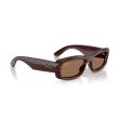 Ray-Ban RB4944 687773: Tijdloze Elegantie in Zonnebrillen