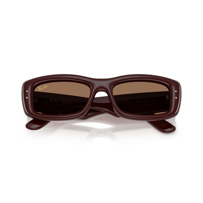 Ray-Ban RB4944 687773 : Lunettes de soleil élégantes et intemporelles