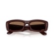 Ray-Ban RB4944 687773: Tijdloze Elegantie in Zonnebrillen