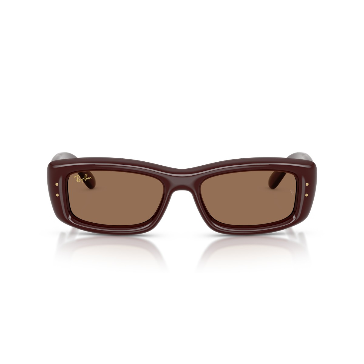 Ray-Ban RB4944 687773 : Lunettes de soleil élégantes et intemporelles