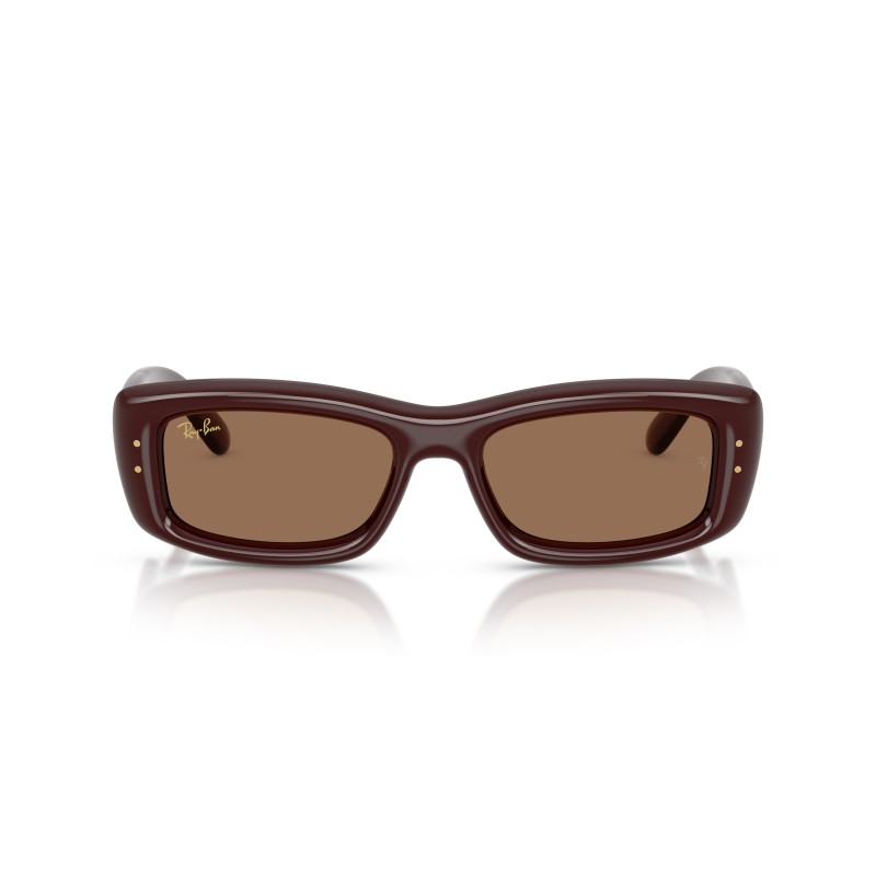 Ray-Ban RB4944 687773: Tijdloze Elegantie in Zonnebrillen