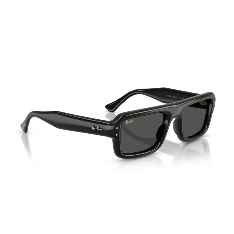 Ray-Ban Flacko Puffer RB4954 Sunglasses
