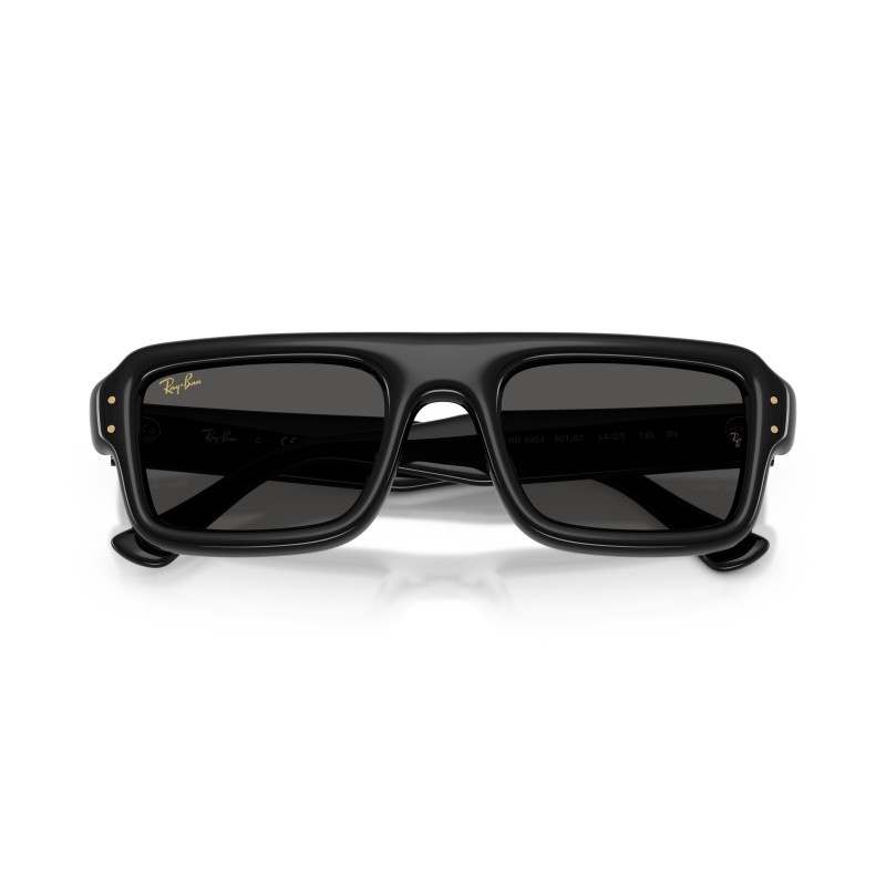 Ray-Ban Flacko Puffer RB4954 Sunglasses