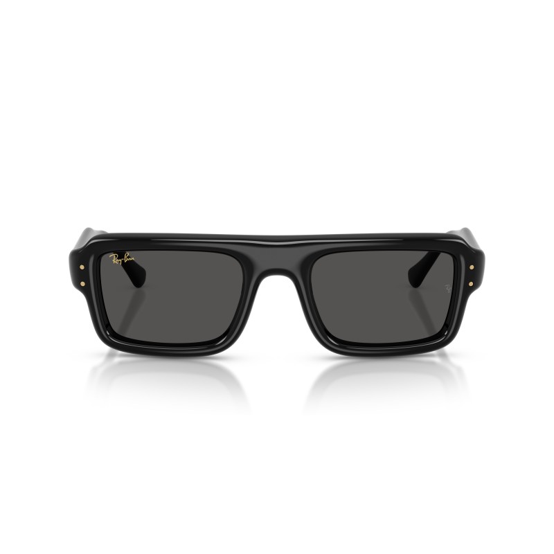 Ray-Ban RB4954 601/87 : Lunettes de soleil Flacko Puffer en Noir Poli et Gris Foncè.
