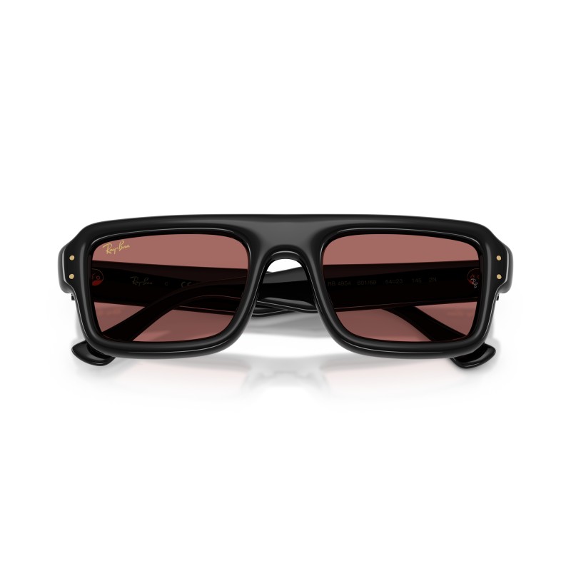 Ray-Ban RB4954 601/69 : Lunettes de soleil unisexes élégantes