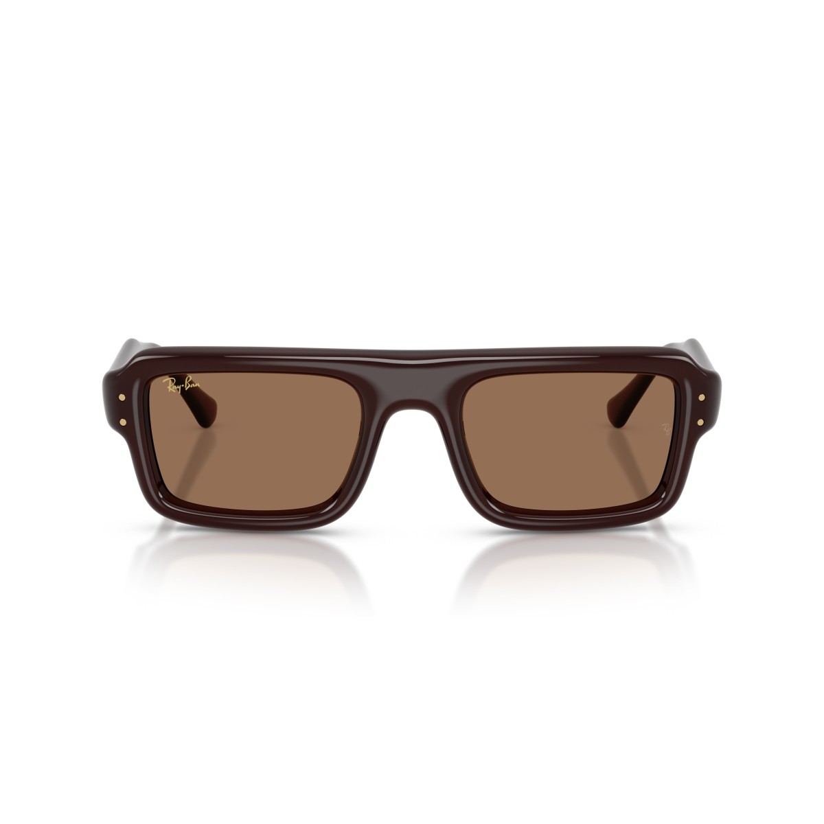 Ray-Ban RB4954 689673 : Lunettes de soleil unisexes en acétate marron transparent avec verres marron foncé