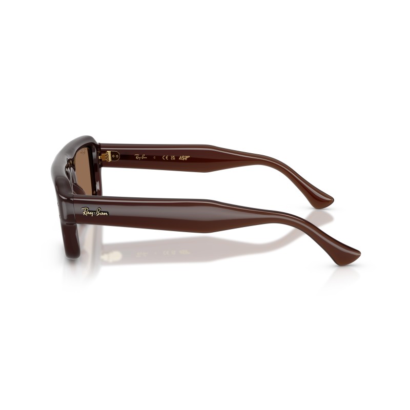 Ray-Ban RB4954 689673 : Lunettes de soleil unisexes en acétate marron transparent avec verres marron foncé