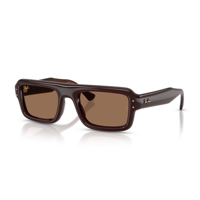 Ray-Ban RB4954 689673 : Lunettes de soleil unisexes en acétate marron transparent avec verres marron foncé