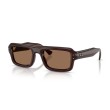 Ray-Ban RB4954 689673 : Lunettes de soleil unisexes en acétate marron transparent avec verres marron foncé