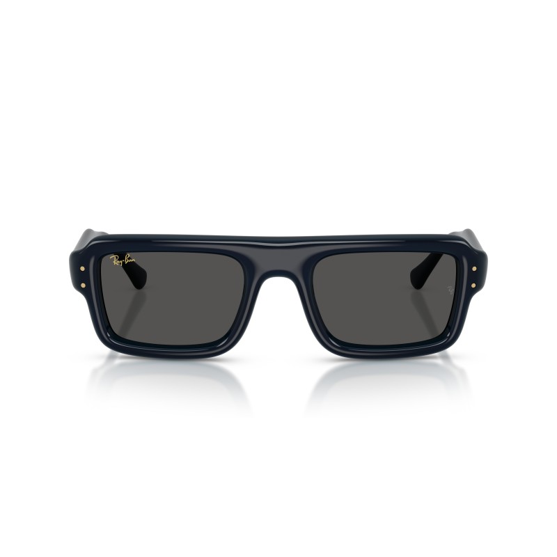 Ray-Ban RB4954 Flacko Puffer Sunglasses