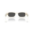 Ray-Ban RB4944 687487 : Lunettes de soleil élégantes et modernes