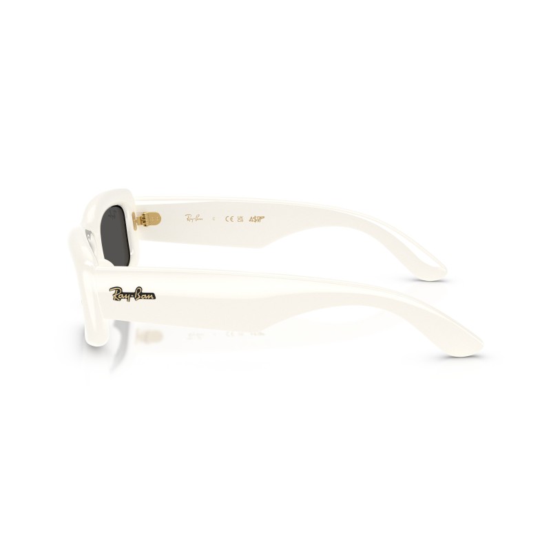 Ray-Ban RB4944 687487: Stijlvolle Zonnebril voor Hem en Haar