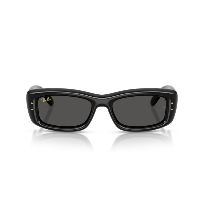 Ray-Ban RB4944 601/87: Stijlvolle Zonnebril in Glanzend Zwart met Ultra Zwarte Lenzen