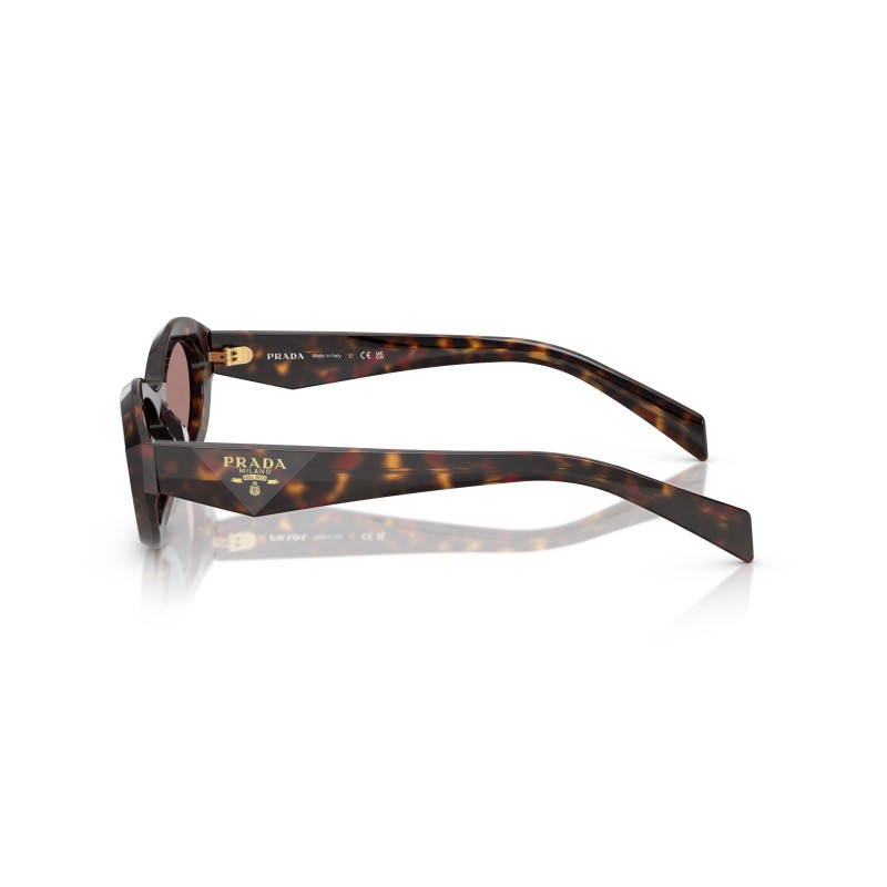 Prada PR 26ZS 17N60B Sunglasses - Root Tortoise | Luxury Eyewear