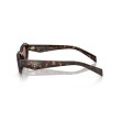 Prada PR 26ZS 17N60B Sunglasses - Root Tortoise | Luxury Eyewear