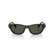 Prada PR C08S 17N90V Havana Cat Eye Polarized Sunglasses