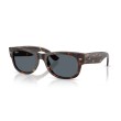 Ray-Ban RB0832S Mega Wayfarer II - Koop Online | Officiële Dealer