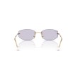 Ray-Ban RB3792 001/MH: Occhiali Geometrici Arista | Acquista Ora
