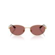 Ray-Ban RB3774D Oro Arista | Occhiali da Sole Ovali Iconici