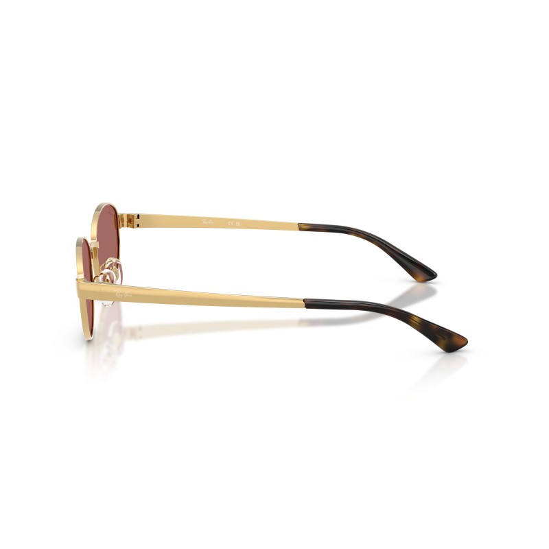Ray-Ban RB3774D Oro Arista | Occhiali da Sole Ovali Iconici