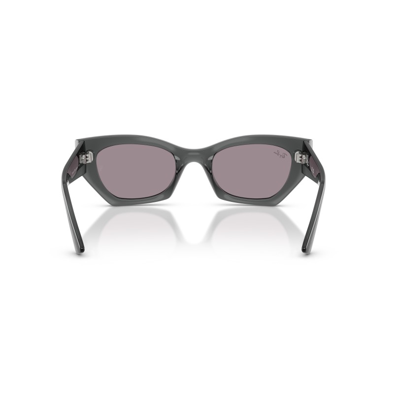 Lunettes de soleil Ray-Ban Zena RB4430 | Style Irrégulier & Confort