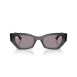 Lunettes de soleil Ray-Ban Zena RB4430 | Style Irrégulier & Confort