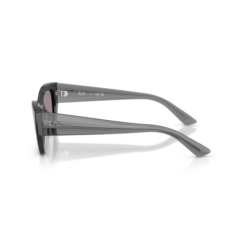 Ray-Ban Zena RB4430 Sunglasses | Transparent Grey & Dark Violet