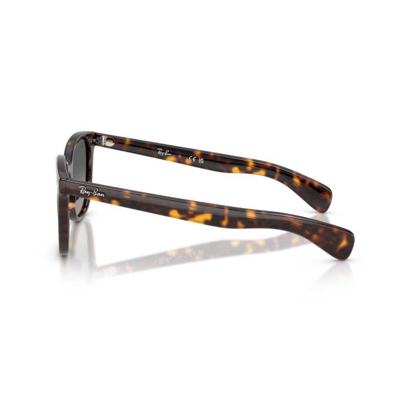 Lunettes de soleil Ray-Ban Brunel II RB2235 | Style Carré Intemporel