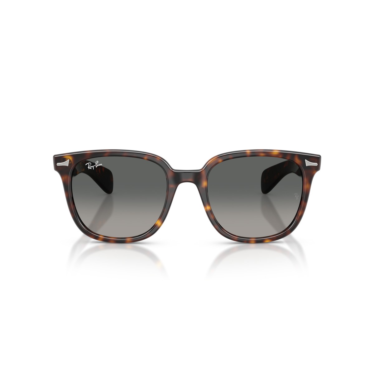 Ray-Ban Brunel II RB2235 Zonnebril | Iconisch Vierkant Design