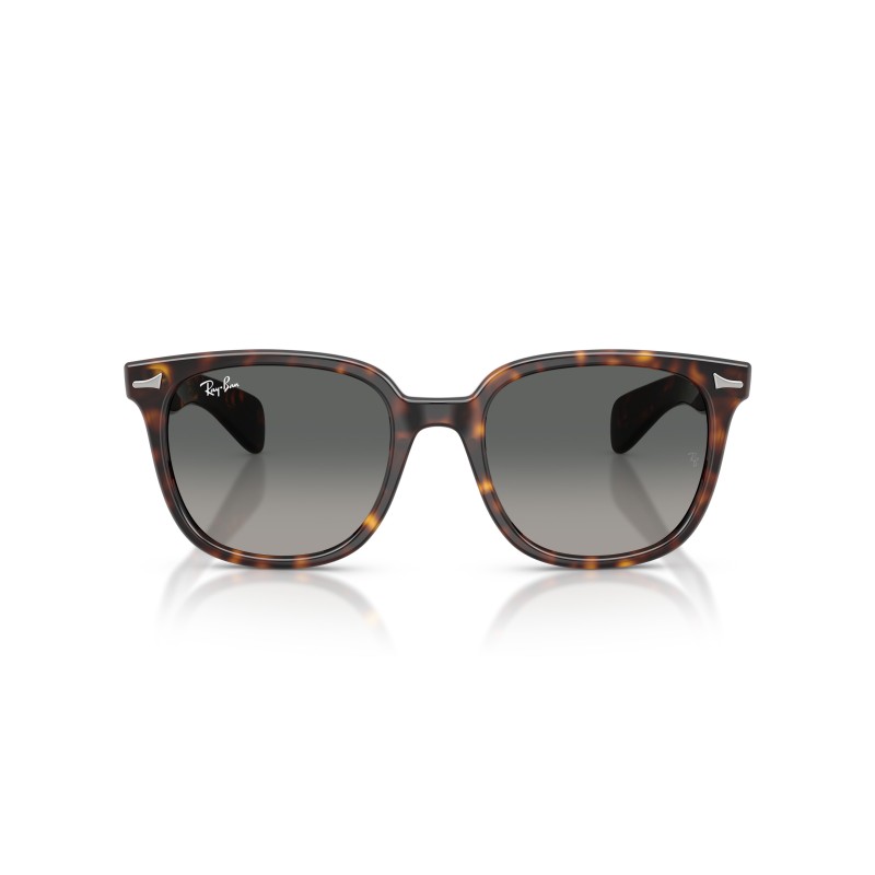 Ray-Ban Brunel II RB2235: Occhiali da Sole Quadrati | Ray-Ban