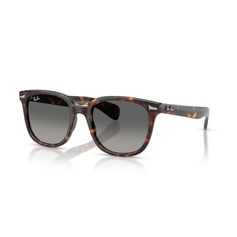 Lunettes de soleil Ray-Ban Brunel II RB2235 | Style Carré Intemporel