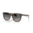Lunettes de soleil Ray-Ban Brunel II RB2235 | Style Carré Intemporel