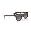 Lunettes de soleil Ray-Ban Brunel II RB2235 | Style Carré Intemporel