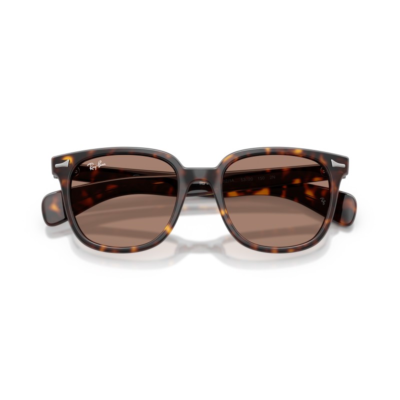 Ray-Ban Brunel II RB2235 Zonnebril - Koop Online