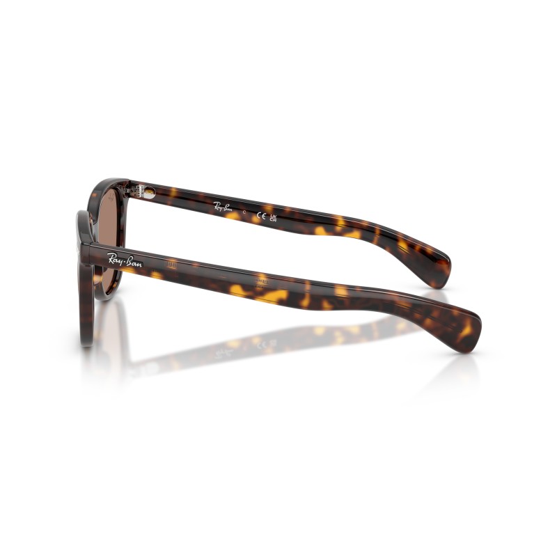 Ray-Ban Brunel II RB2235 | Lunettes de Soleil Carrées | Boutique Officielle
