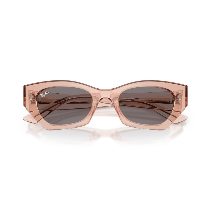 Lunettes de soleil Ray-Ban Zena RB4430 | Style Irrégulier & Durable