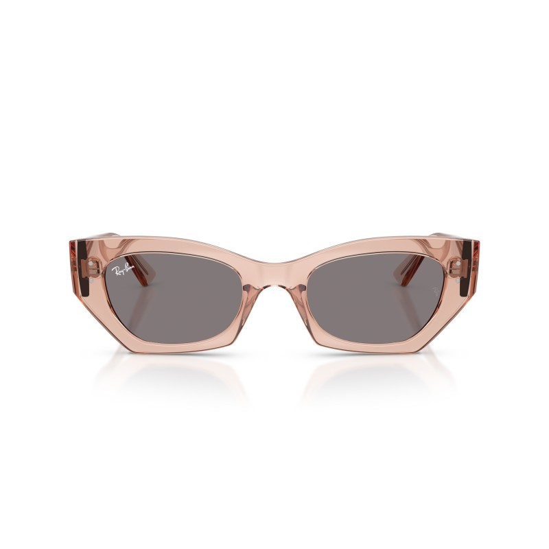 Lunettes de soleil Ray-Ban Zena RB4430 | Style Irrégulier & Durable