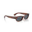 Ray-Ban RB2236 Geometric Sunglasses | Premium Propionate Frames