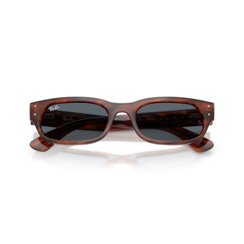 Ray-Ban RB2236 Zonnebril - Geometrisch Design | Officiële Stijl