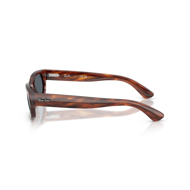 Ray-Ban RB2236 Zonnebril - Geometrisch Design | Officiële Stijl