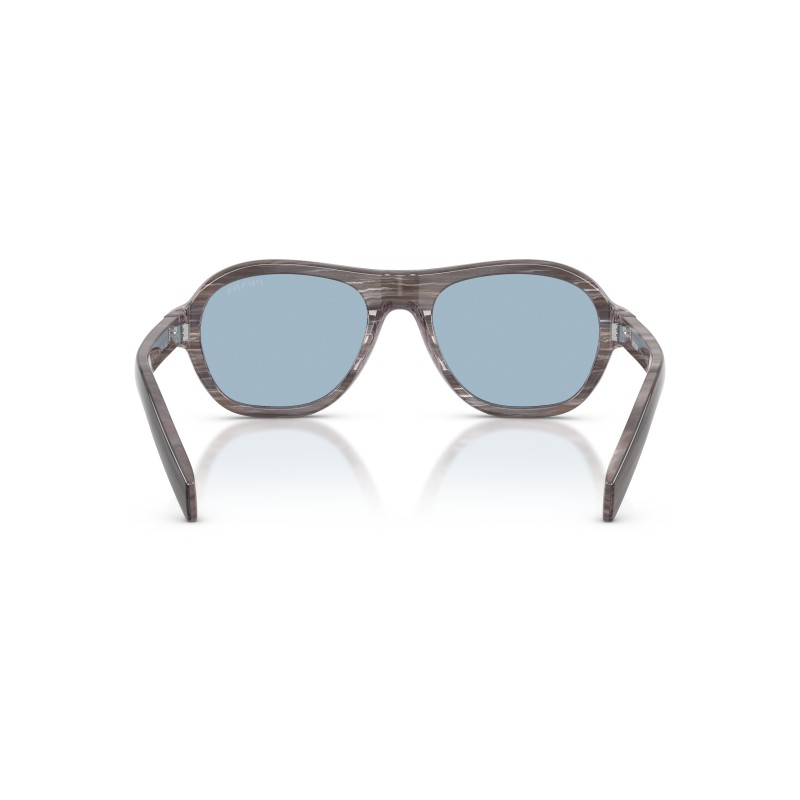 Prada PR D14S Sunglasses | Rectangular Acetate Frames