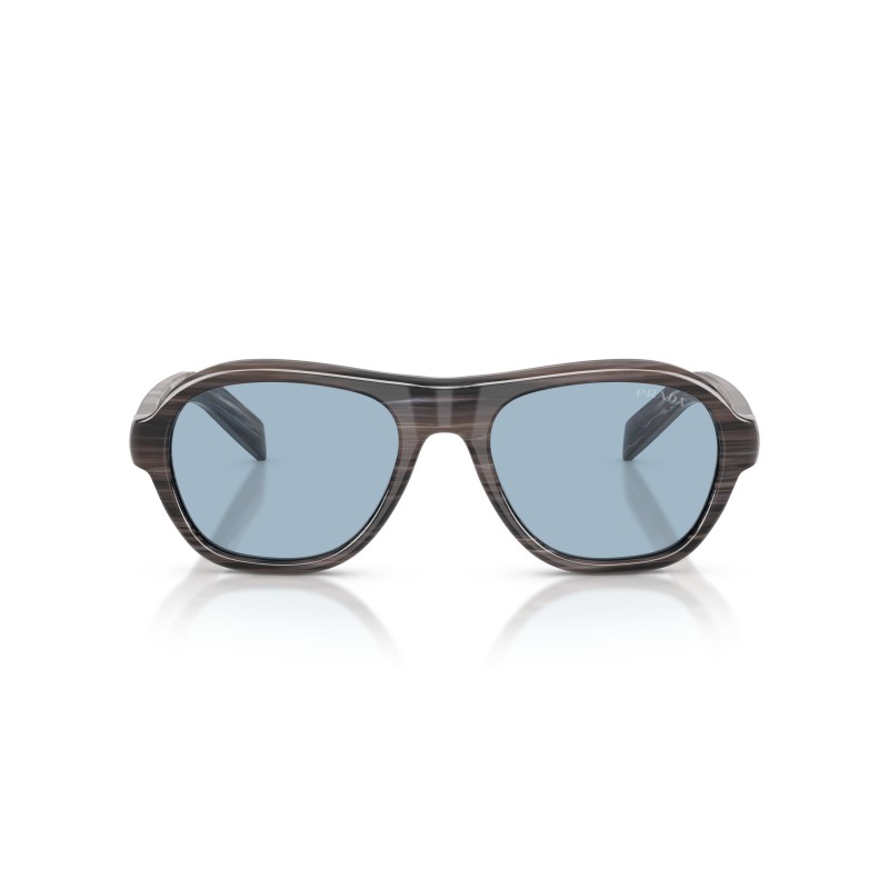 Prada PR D14S Sunglasses | Rectangular Acetate Frames