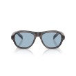 Prada PR D14S Sunglasses | Rectangular Acetate Frames