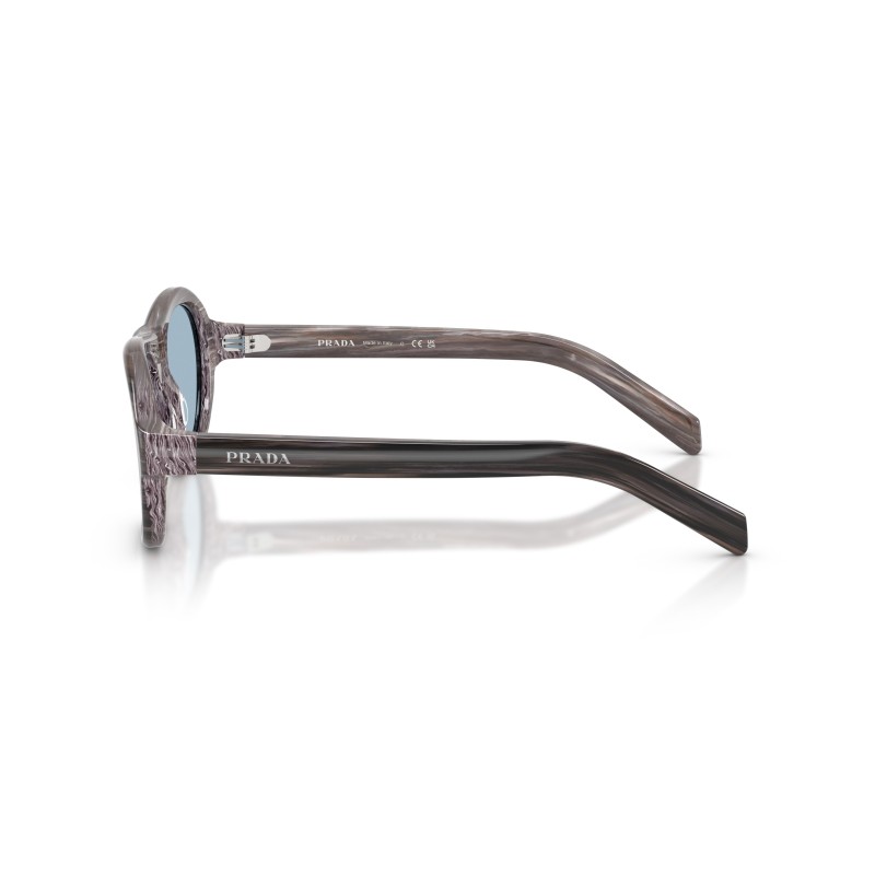 Prada PR D14S Sunglasses | Rectangular Acetate Frames