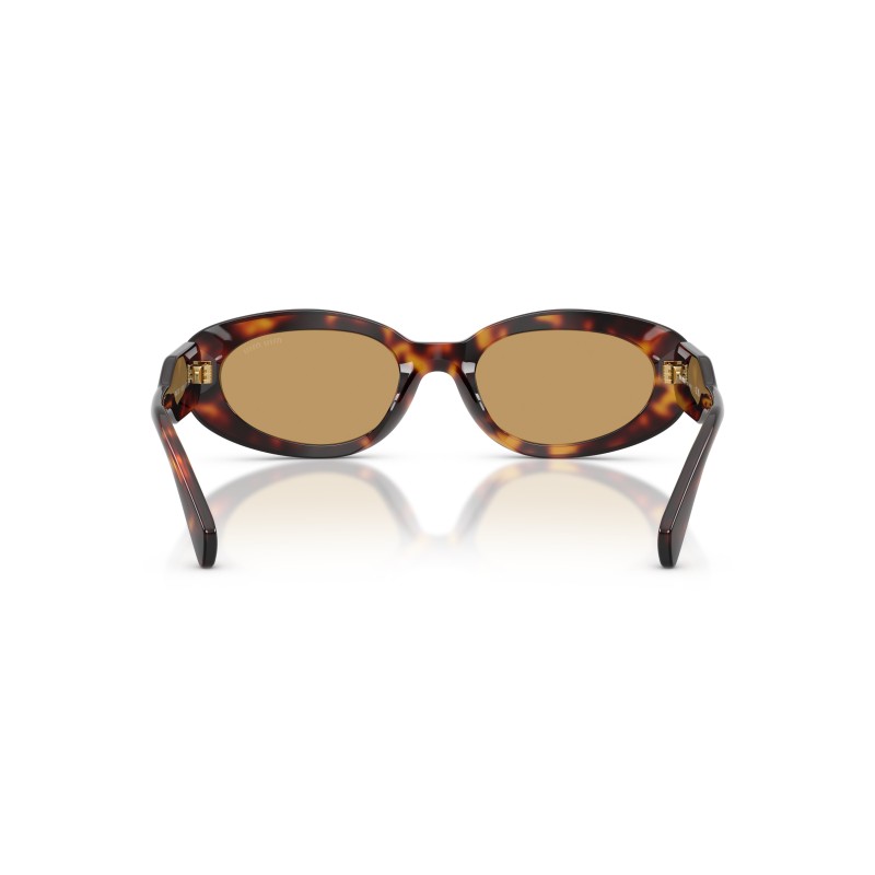 Lunettes de soleil Miu Miu MU C01S Havana | Style Ovale Sophistiqué