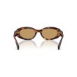 Lunettes de soleil Miu Miu MU C01S Havana | Style Ovale Sophistiqué