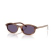 Prada PR D17S 25O70W Zonnebril - Striped Rosewood | Luxe Eyewear