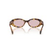 Miu Miu MU C01S Zonnebril voor Dames - Luxe & Stijl