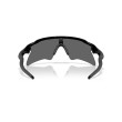 Oakley Radar EV Heater Sunglasses | Performance Sport Eyewear
